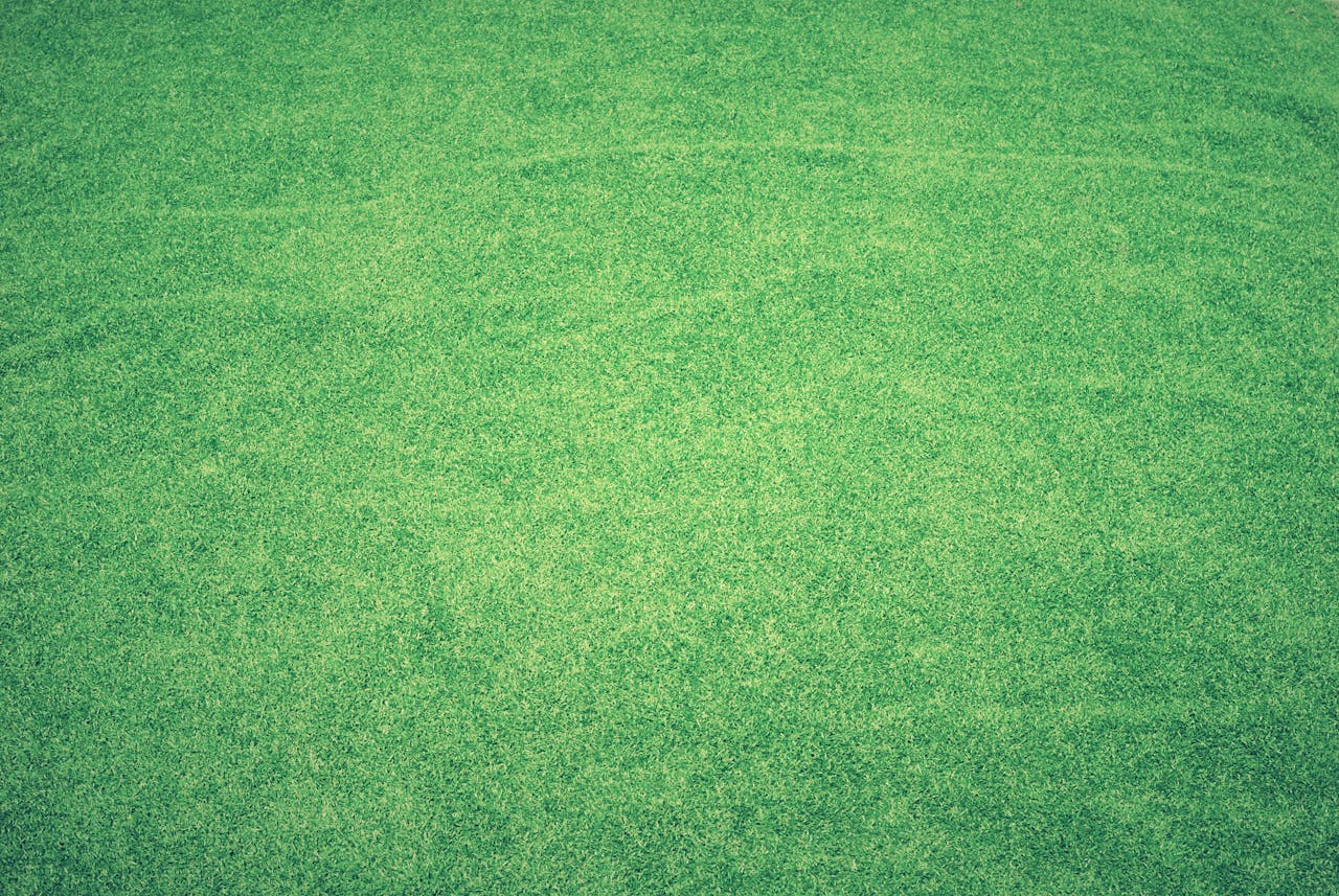 High-quality vibrant green grass texture perfect for backgrounds and digital use.